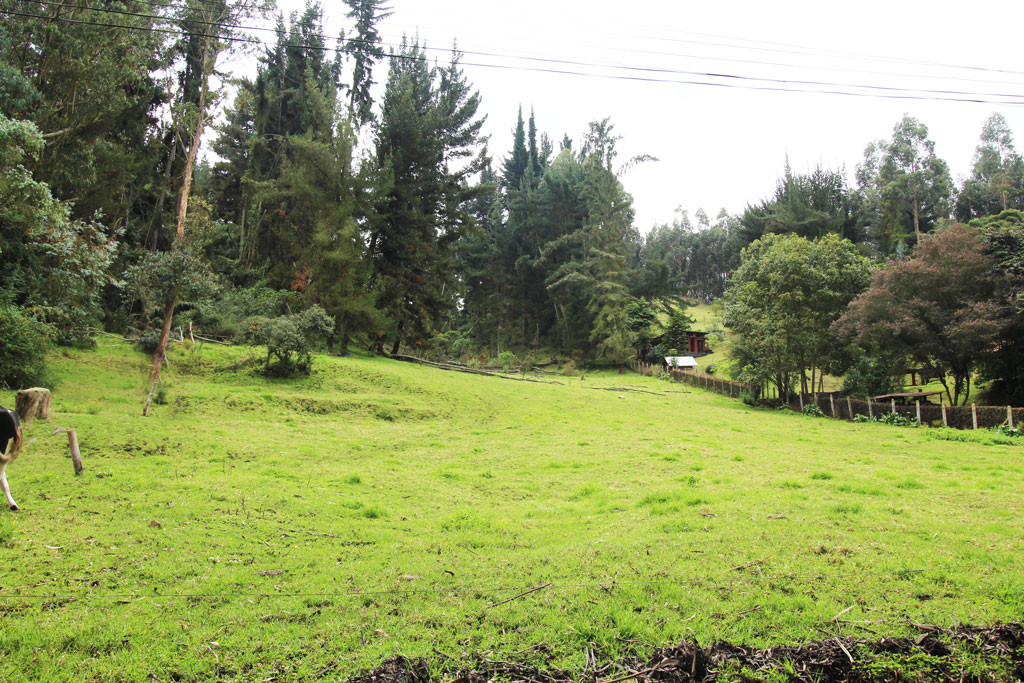 Lote EN VENTA EN Hato Grande, código: 10259888 - 3