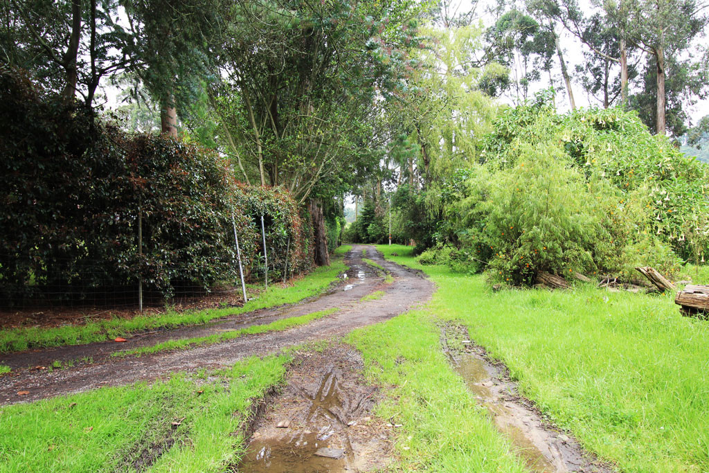 Lote EN VENTA EN Hato Grande, código: 10259888 - 7