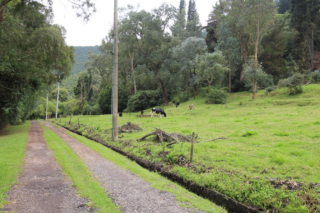 Lote EN VENTA EN Hato Grande, código: 10259900 - 3