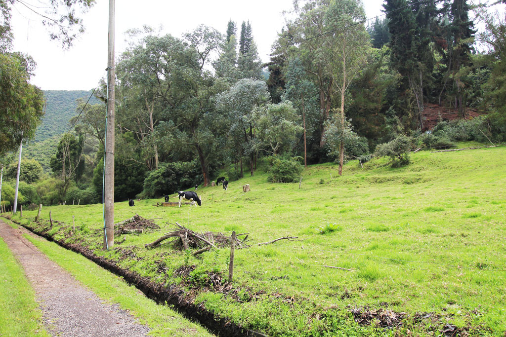 Lote EN VENTA EN Hato Grande, código: 10259900 - 4