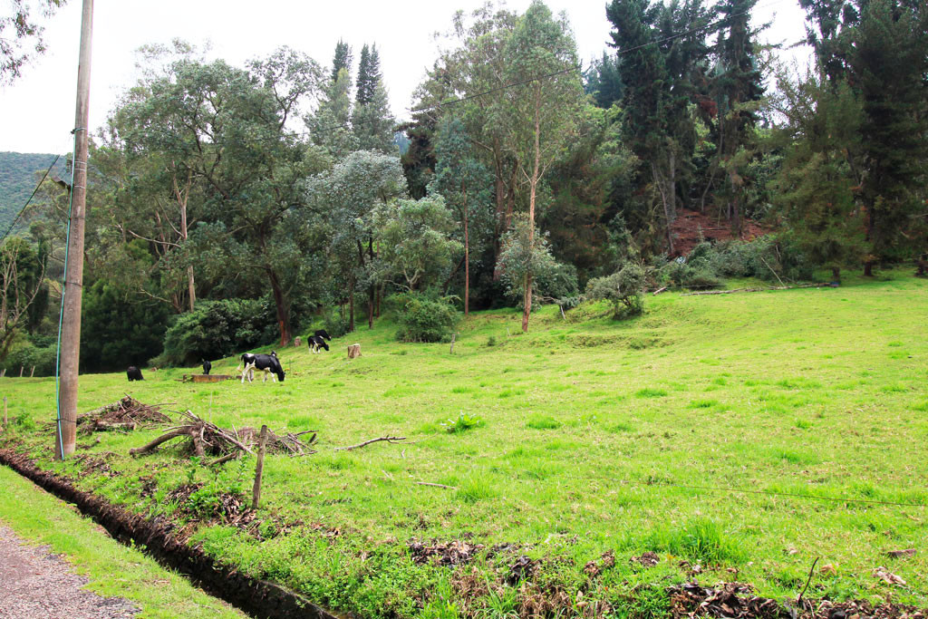 Lote EN VENTA EN Hato Grande, código: 10259900 - 5