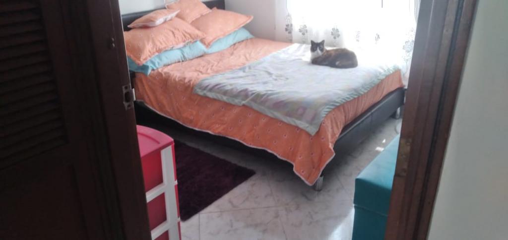 Apartamento EN VENTA EN Carlos Lleras, código: 1018173 - 17