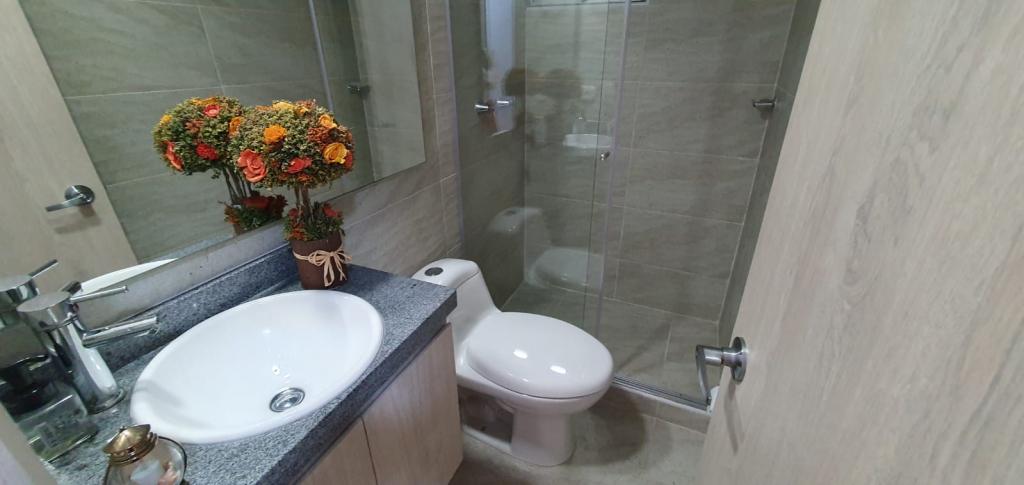 Apartamento En Arriendo - Nueva Alsacia, Bogotá