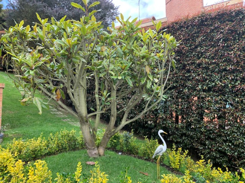 Casa Campestre EN ARRIENDO EN Club Aposentos Resrva Natural, código: 10342960 - 22