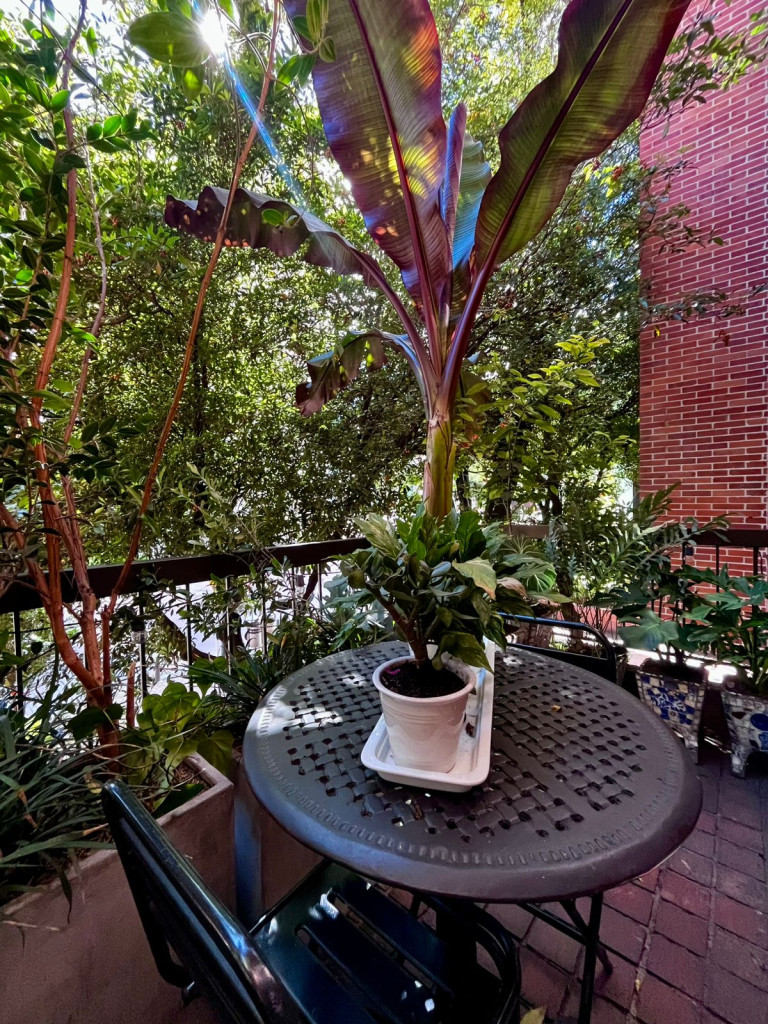 Apartamento En Arriendo - El Nogal, Bogotá