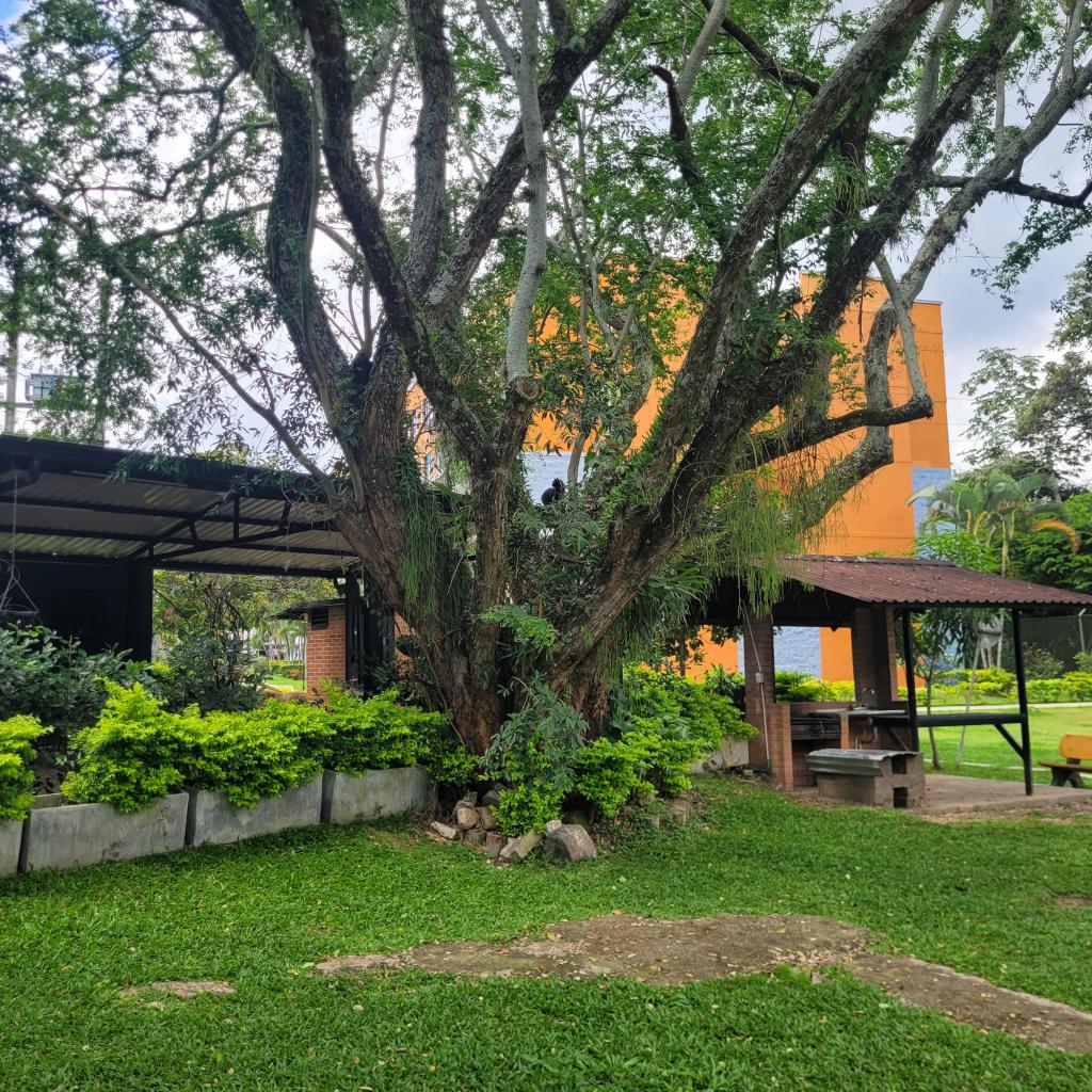 Apartamento EN VENTA EN Sin Barrio, código: 1081359 - 27