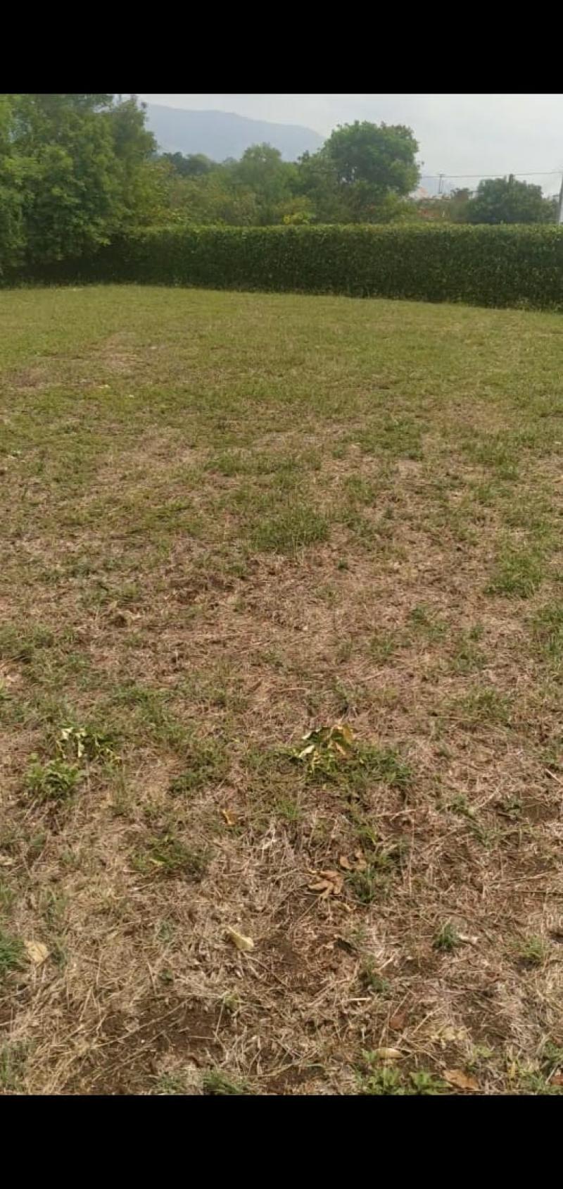 Lote En Venta - Tocaima, Tocaima
