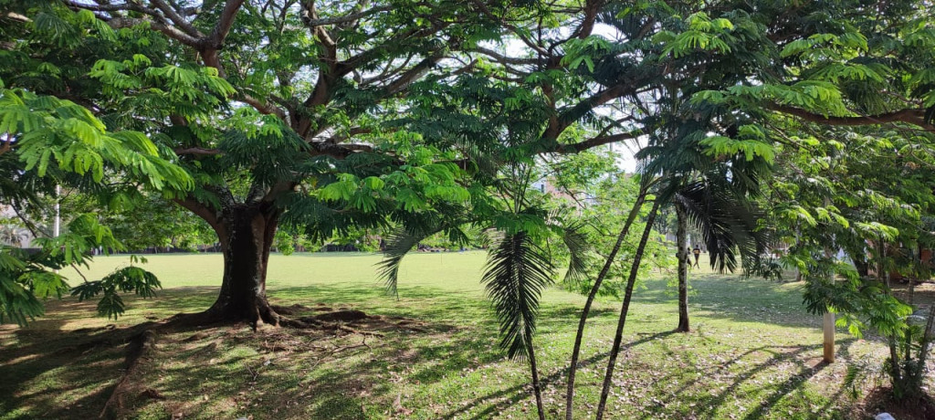 Casa EN VENTA EN Ciudad 2000, código: 10219687 - 8