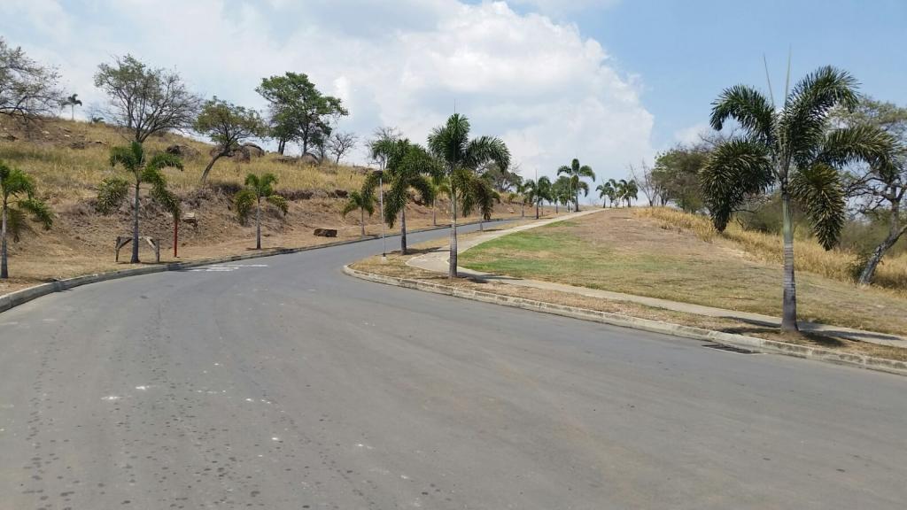 Lote EN VENTA EN ., código: 1033225 - 4