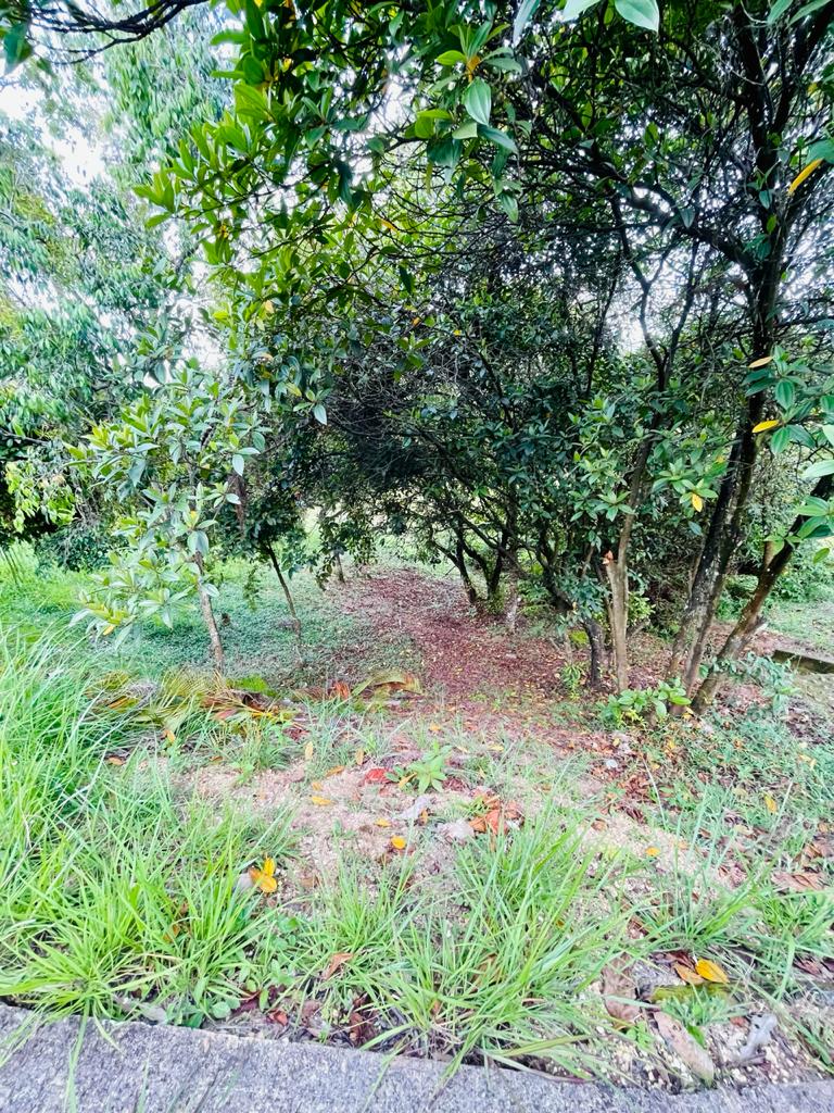 Lote En Venta - Potrerito, Jamundí