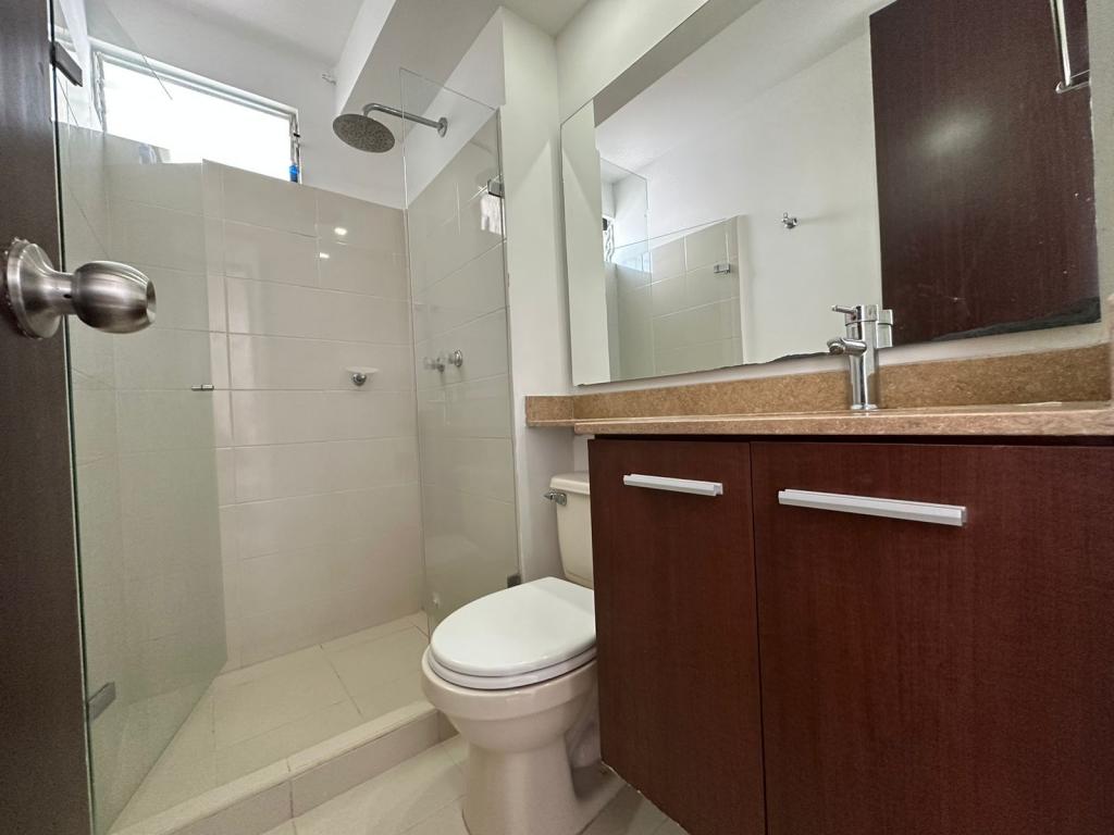 Apartamento En Arriendo - Valle Del Lili, Cali