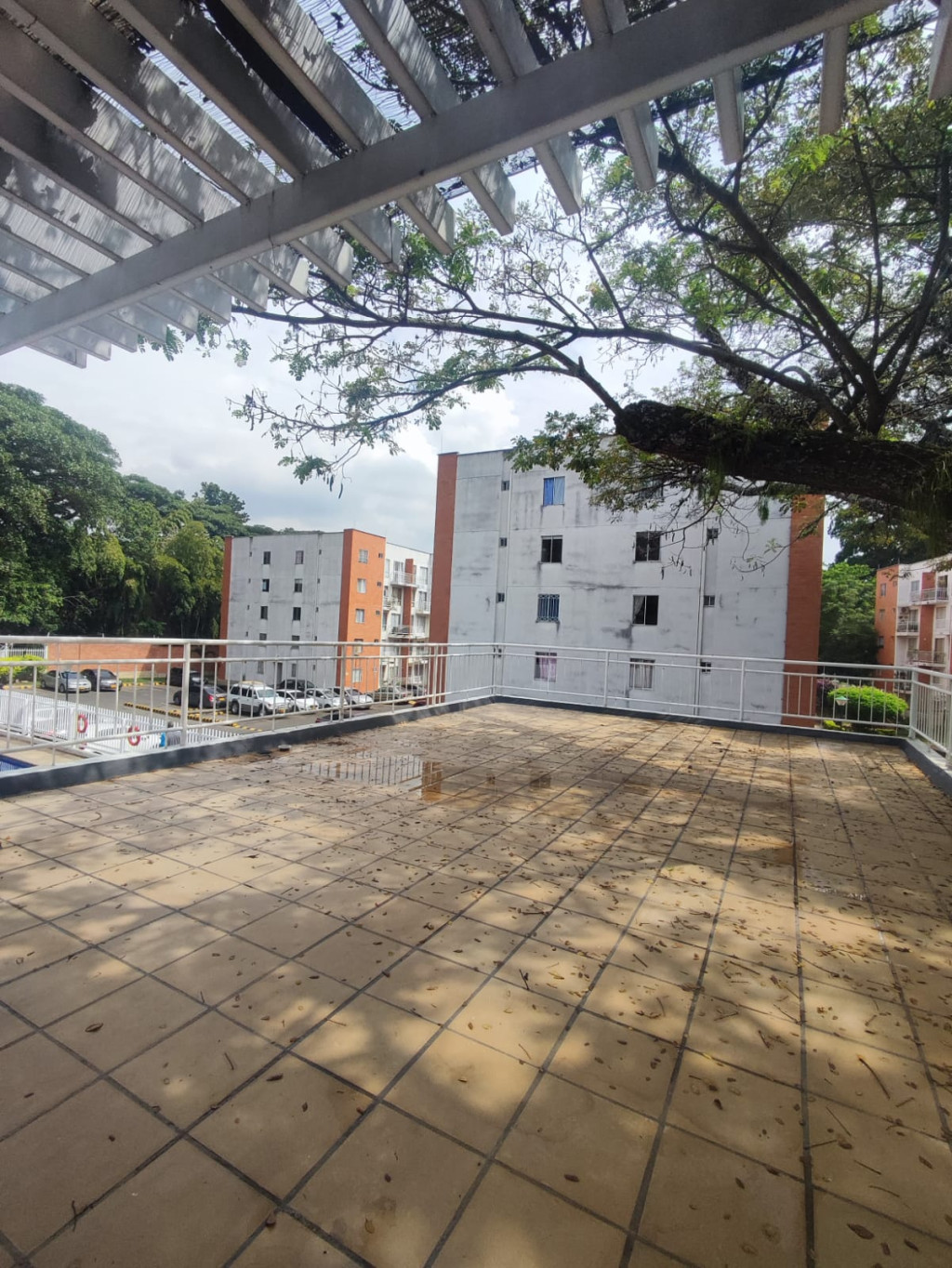 Apartamento En Arriendo - Sector Cañaveralejo Guadalupe, Cali