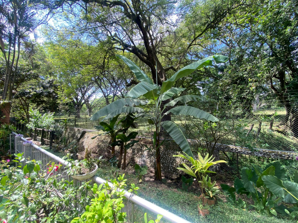 Casa Condominio En Venta - Pance, Cali