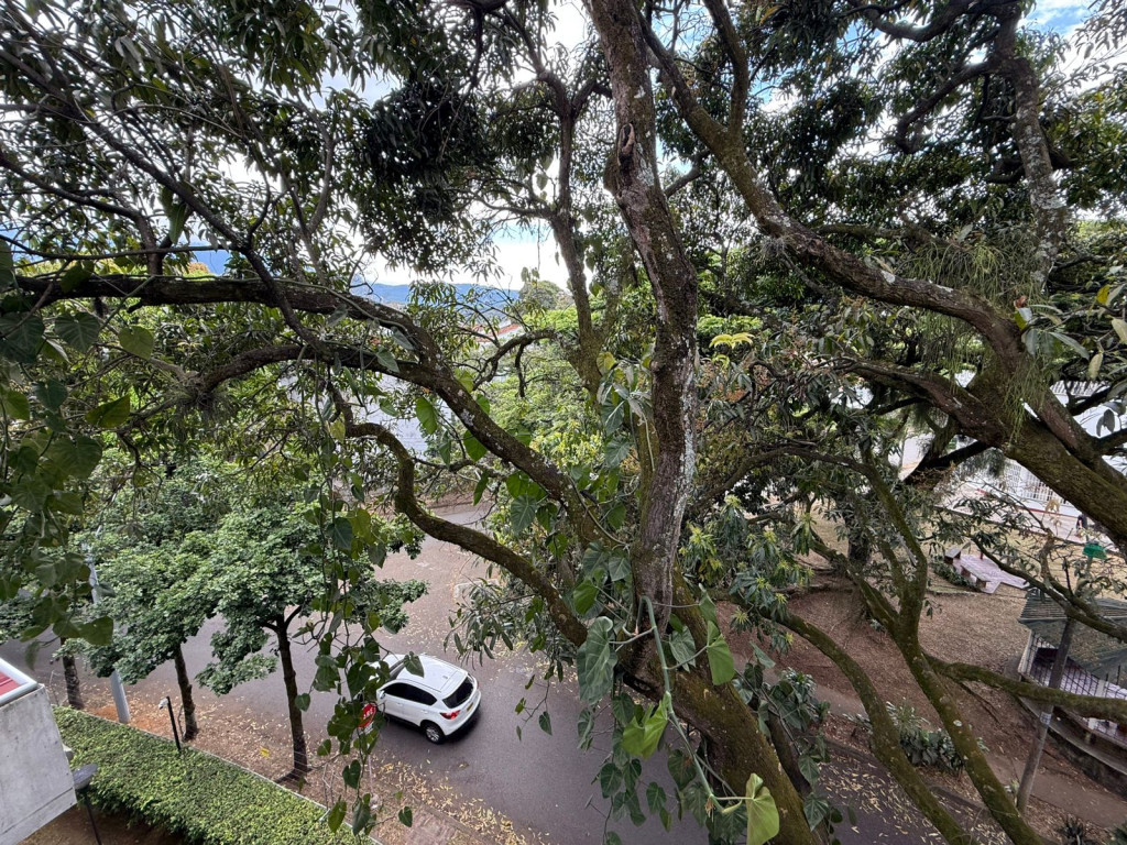Apartamento En Arriendo - Capri, Cali