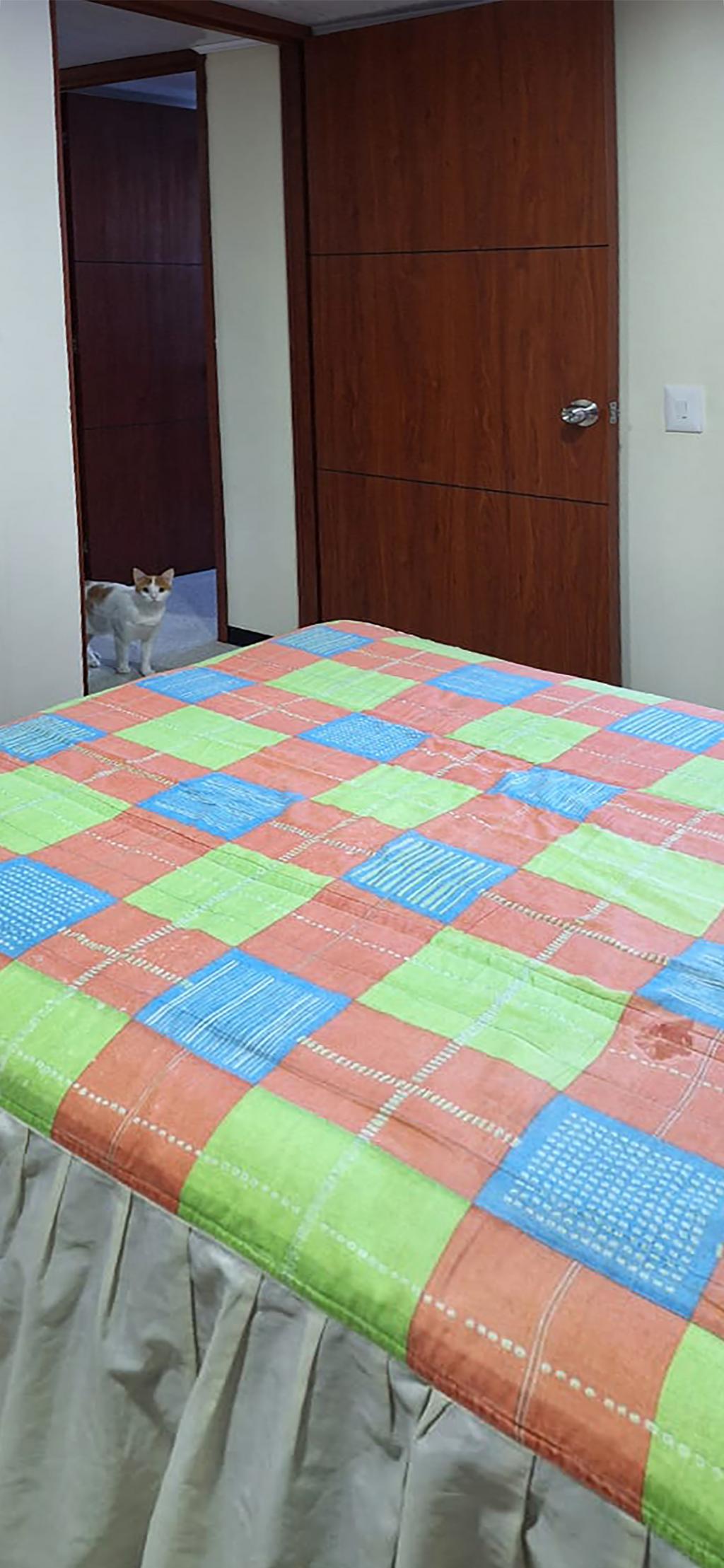 Apartamento EN VENTA EN Ciudad Verde, código: 10182412 - 12