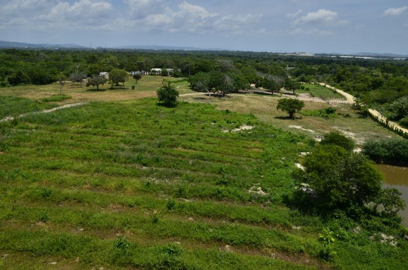 Finca EN VENTA EN Sin Barrio, código: 1038755 - 11
