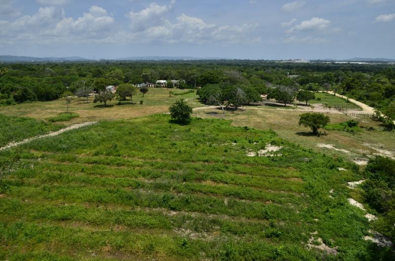 Finca EN VENTA EN Sin Barrio, código: 1038755 - 12