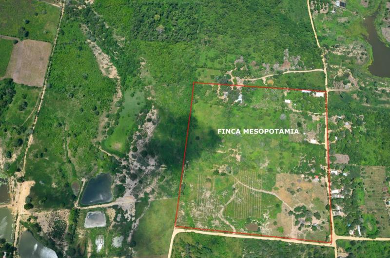 Finca EN VENTA EN Sin Barrio, código: 1038755 - 6