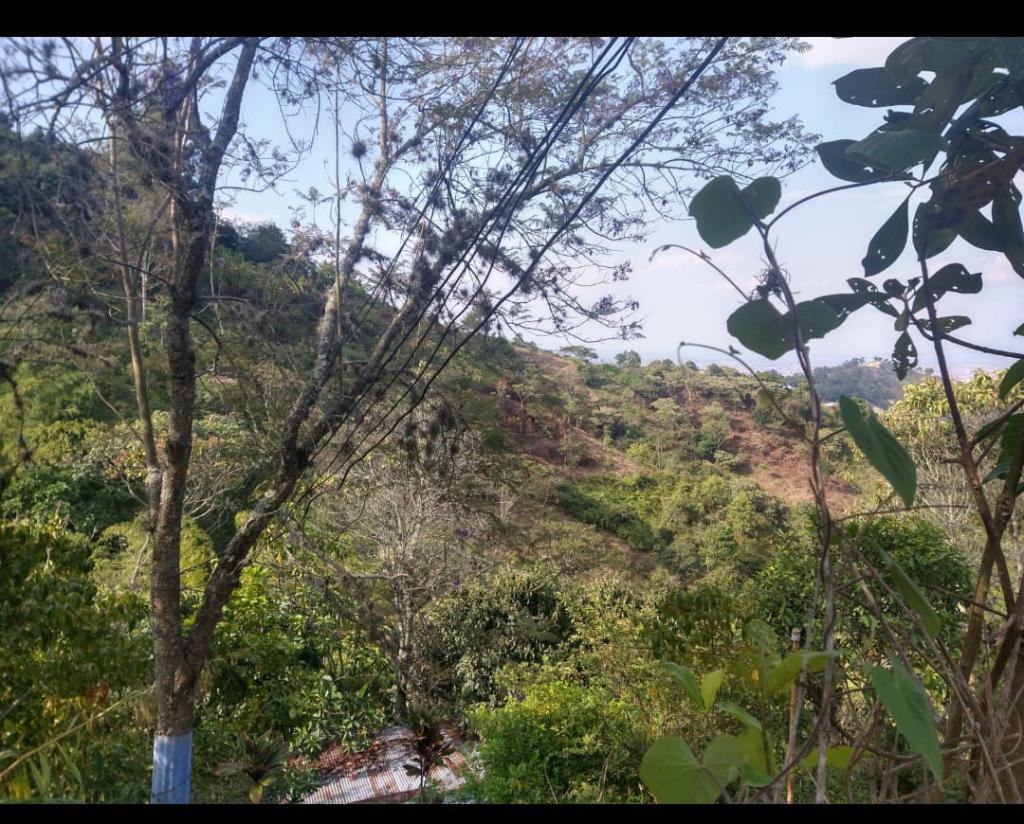 Lote EN VENTA EN La Buitrera, código: 1042058 - 4