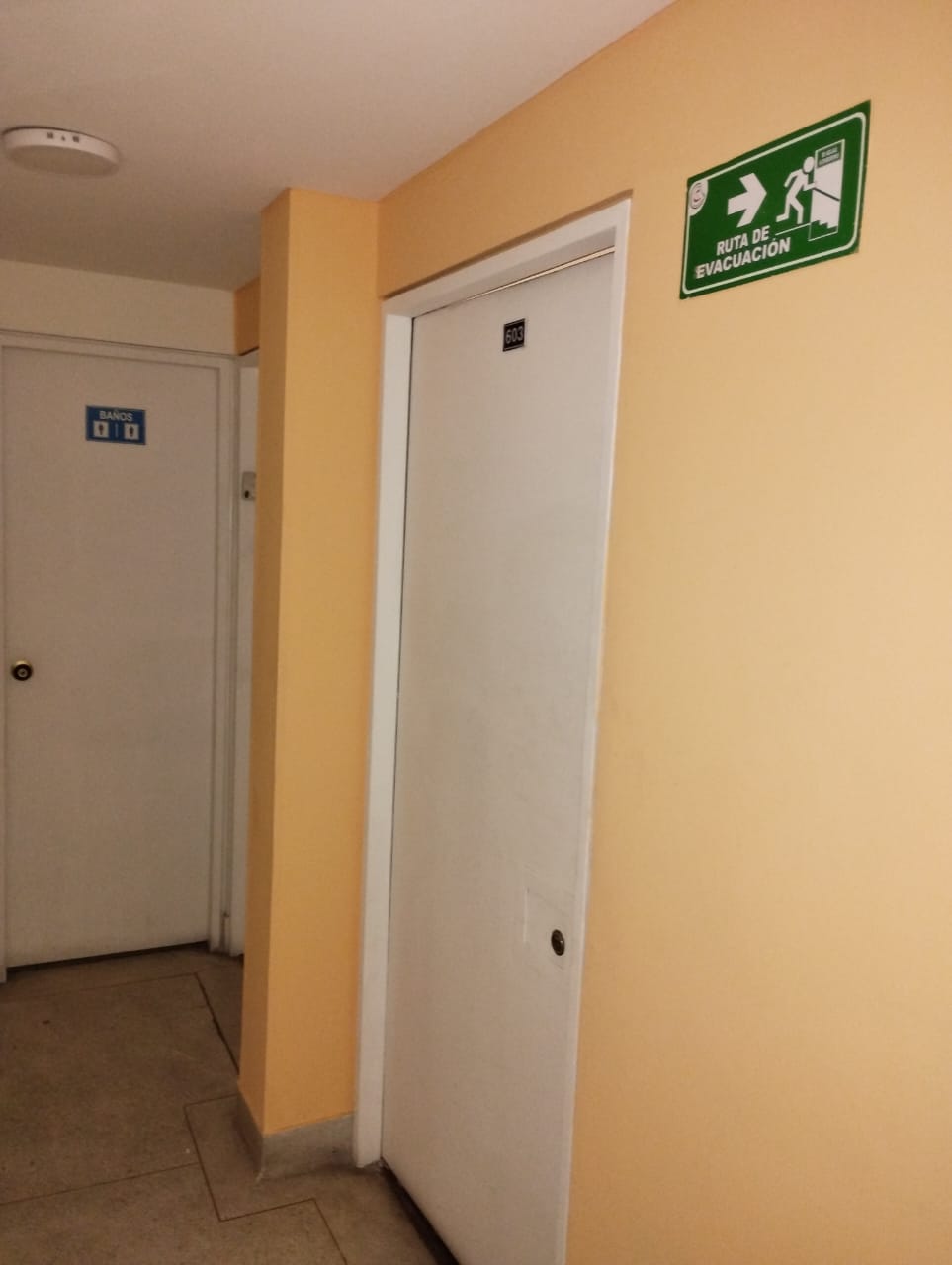 Detalle de Inmueble 1663 en arriendo en Las Nieves