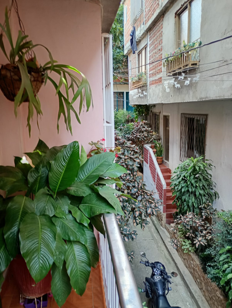 Casa EN VENTA EN Aguacatal, código: 10253067 - 10