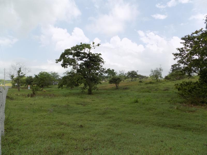 Vista de fachada