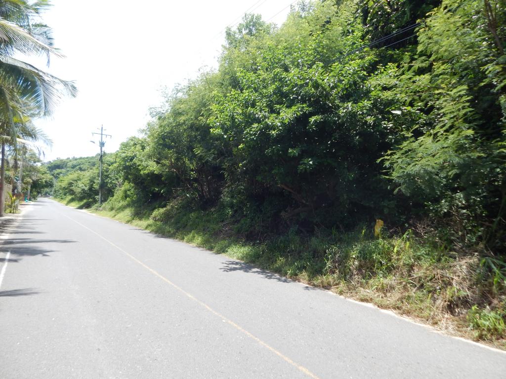 Vista de fachada