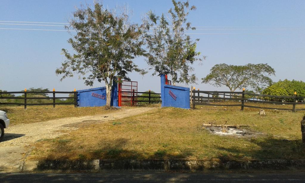 Vista de fachada