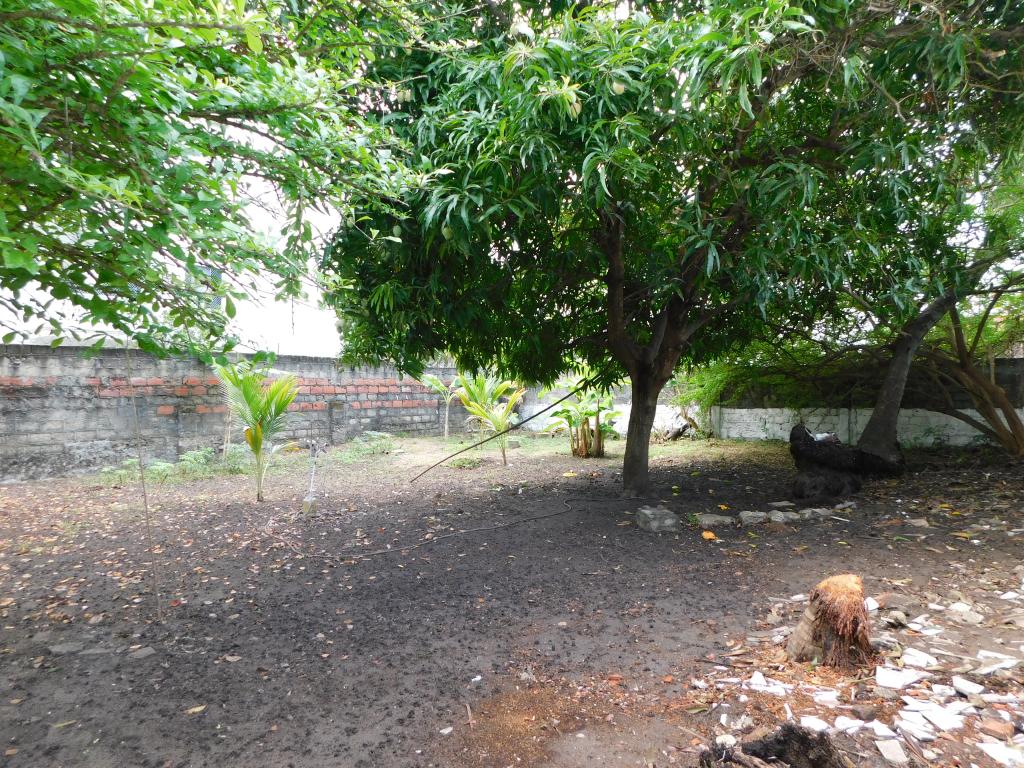 Vista de fachada
