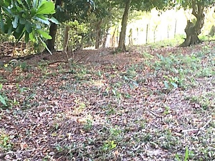 Vista de fachada