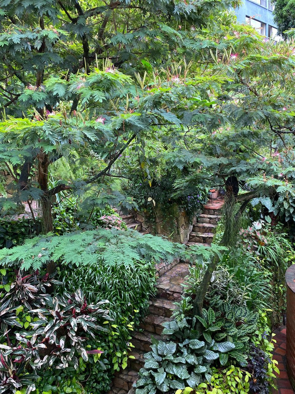 Casa En Venta - Arboleda, Cali