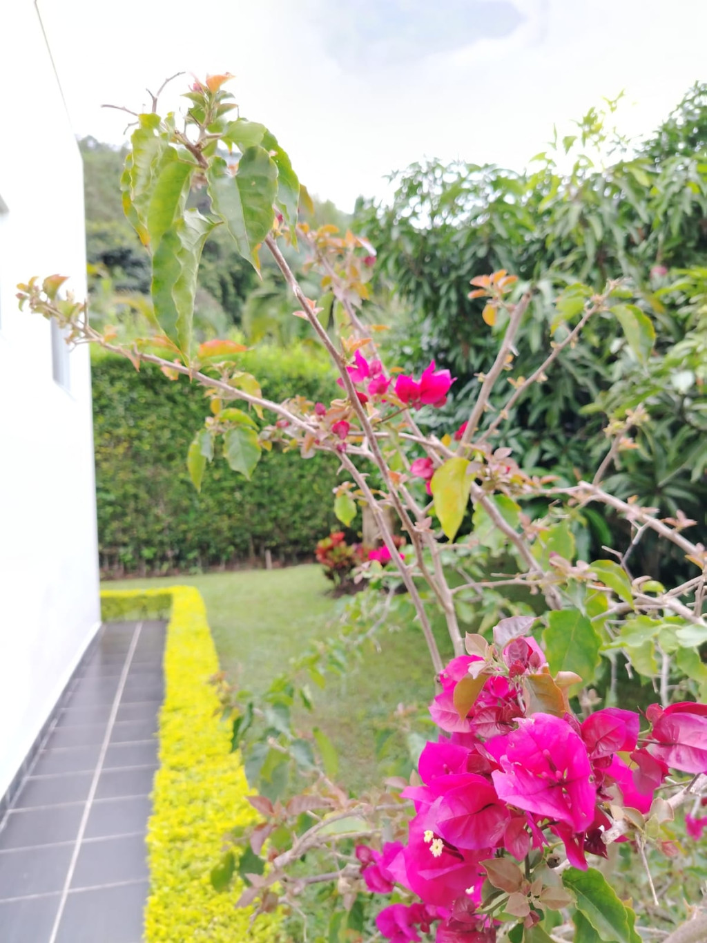 Casa-condominio EN VENTA EN ., código: 10144340 - 29