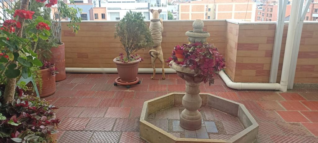 Apartamento EN VENTA EN ., código: 106974 - 22
