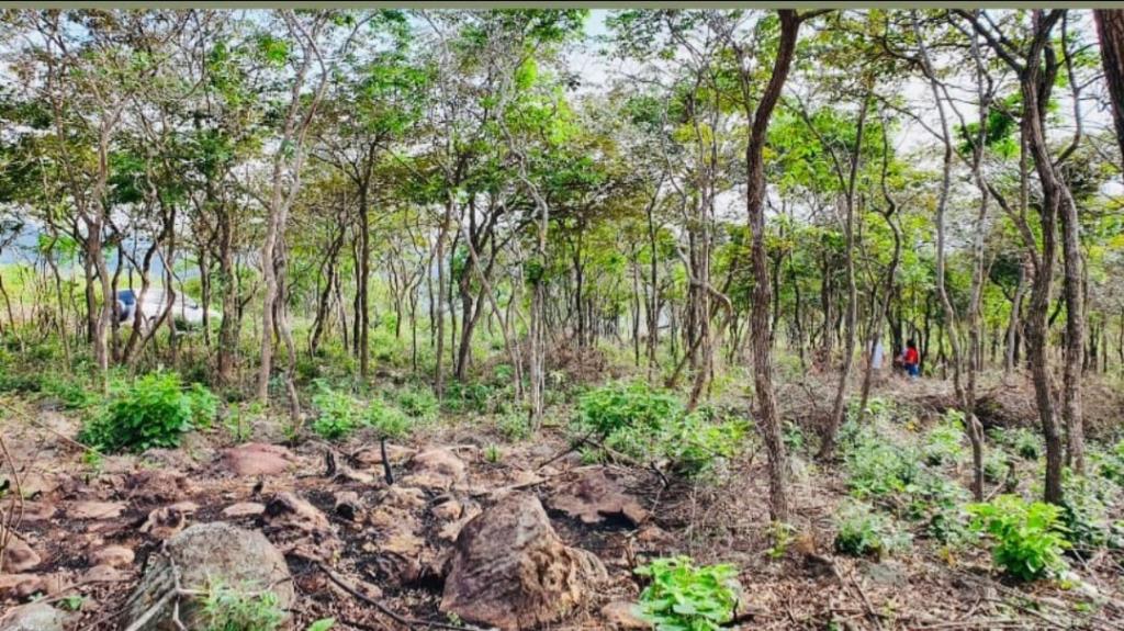 Terreno en Venta en Nor Oriente, Cúcuta, Norte De Santander