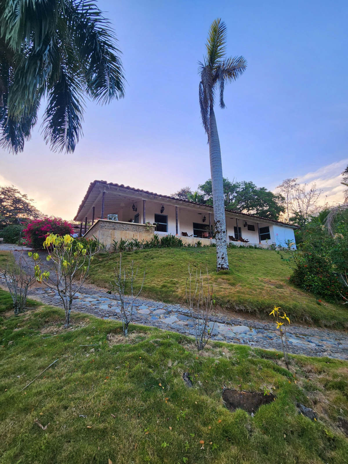 Finca EN VENTA EN ., código: 10257161 - 0