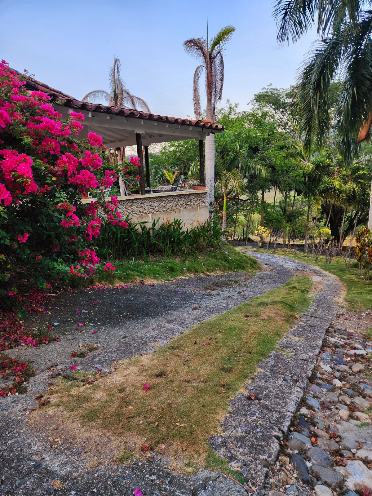 Finca EN VENTA EN ., código: 10257161 - 1