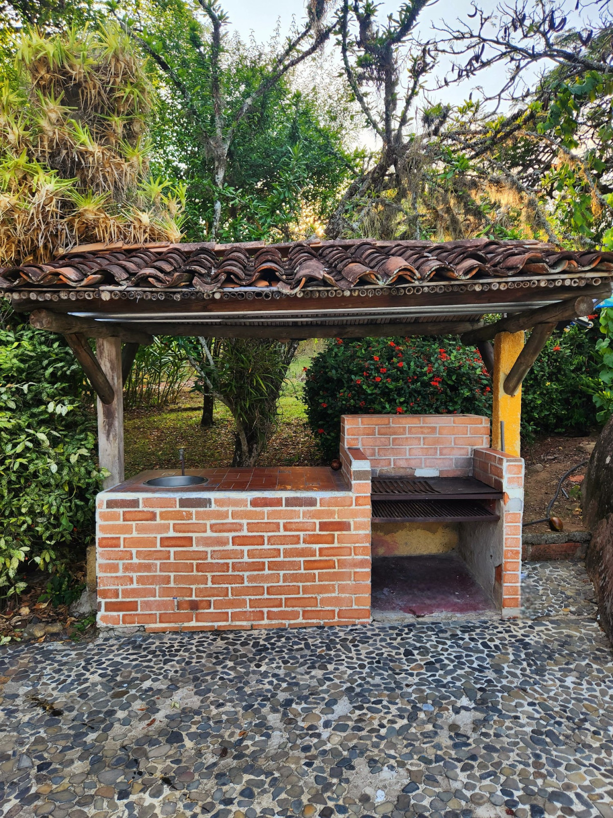 Finca EN VENTA EN ., código: 10257161 - 4