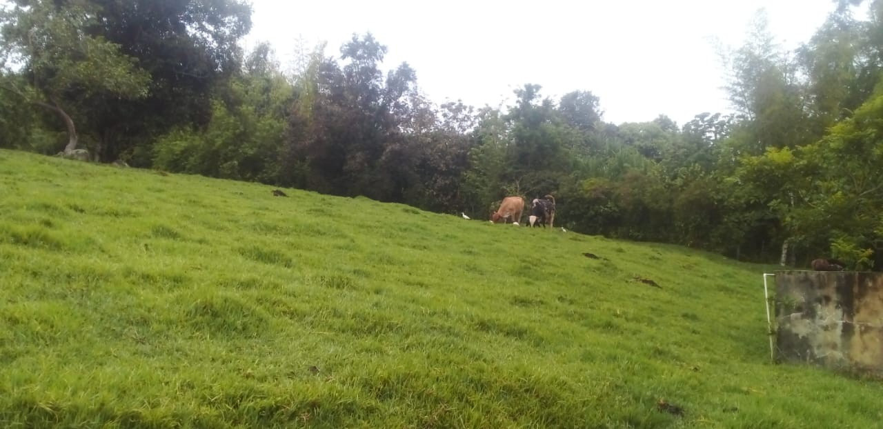 Finca EN VENTA EN ., código: 10257161 - 7