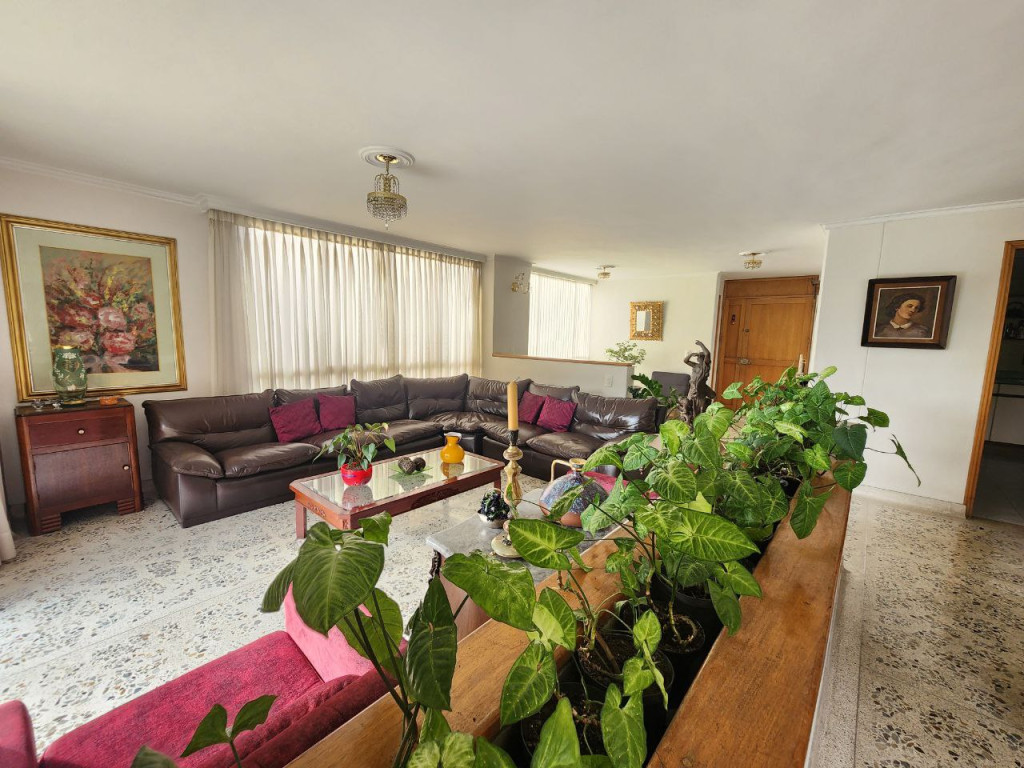 Apartamento EN VENTA EN La Concha, código: 10282013 - 3