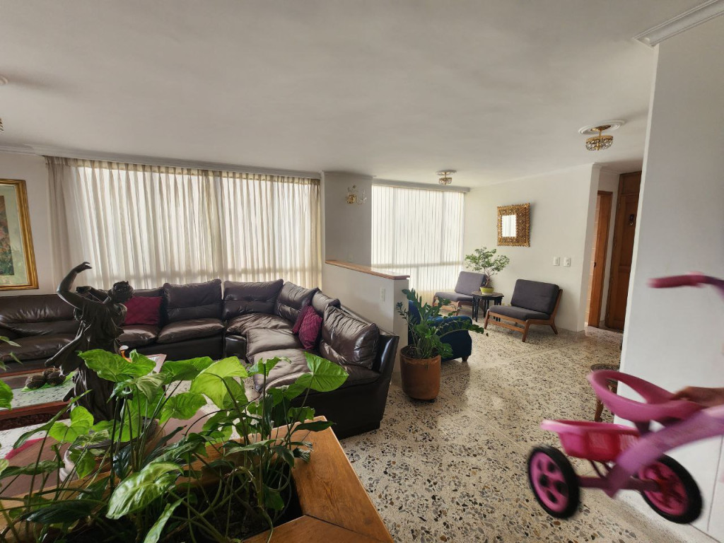 Apartamento EN VENTA EN La Concha, código: 10282013 - 2
