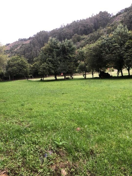 Lote EN VENTA EN Sin Barrio, código: 1071149 - 2