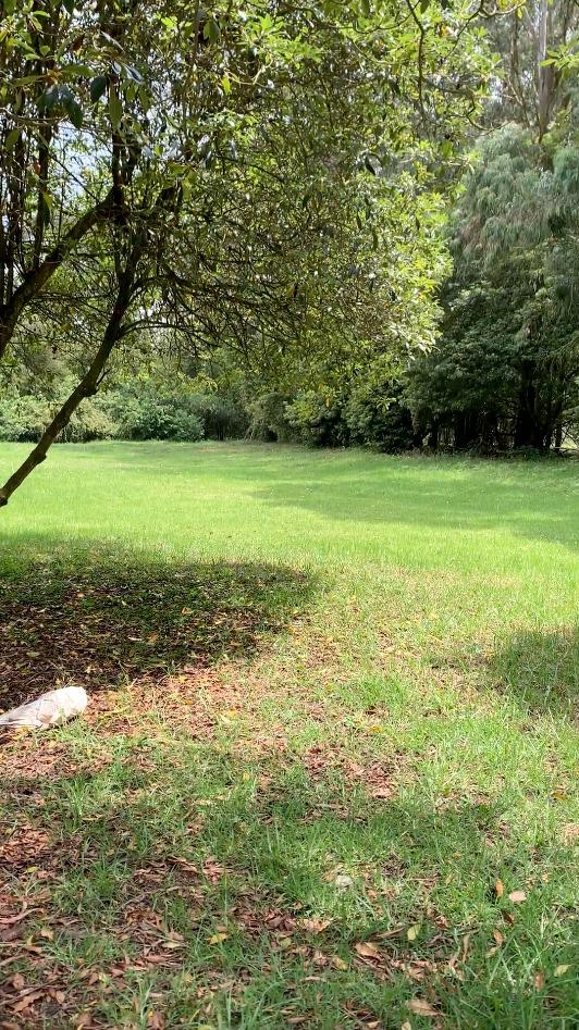 Lote EN VENTA EN Sin Barrio, código: 1071149 - 7