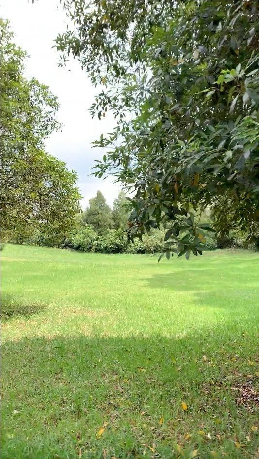 Lote EN VENTA EN Sin Barrio, código: 1071149 - 9