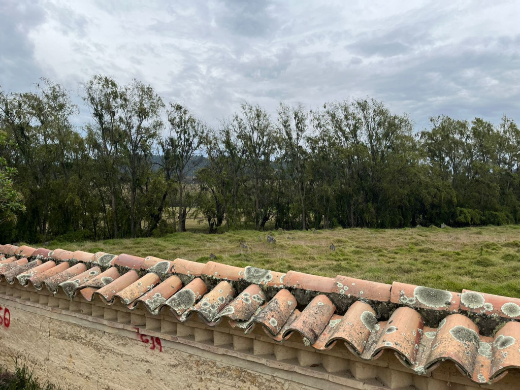 Lote EN VENTA EN ., código: 10279572 - 10