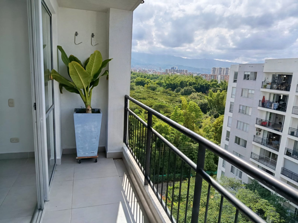 Apartamento EN ARRIENDO EN Bochalema, código: 10266198 - 13