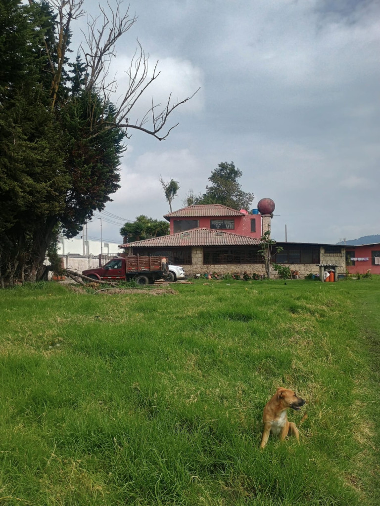 LOTE en VENTA