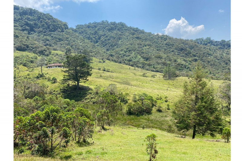 Lote EN VENTA EN Sonsón, código: 10139843 - 0