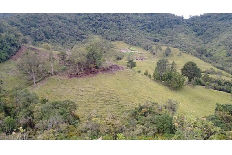Lote EN VENTA EN Sonsón, código: 10139843 - 2