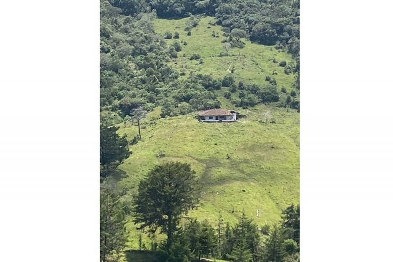 Lote EN VENTA EN Sonsón, código: 10139843 - 6