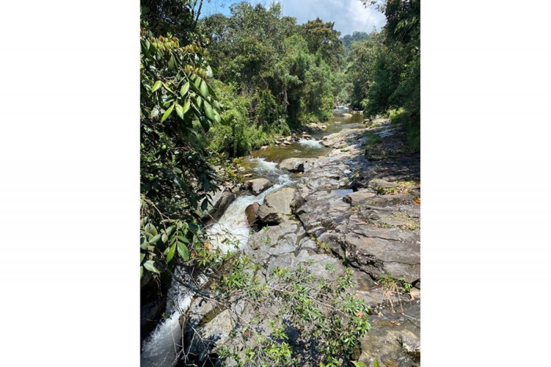 Lote EN VENTA EN Sonsón, código: 10139843 - 7